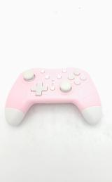 Third party store switch pro controller