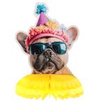 Party pakket Dogs multicoloured 29-delig, Dieren en Toebehoren, Verzenden, Nieuw