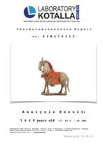 Het oude China, Noordelijke Wei Terracotta Noordwestelijke