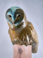 Federico Alibrio - Barn owl