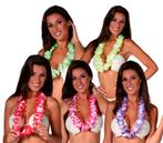 Hawai Ketting Gekleurd 6,50cm, Verzenden, Nieuw