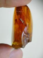 Amber - Barnsteen - XXL freeform amber from Kachin state -