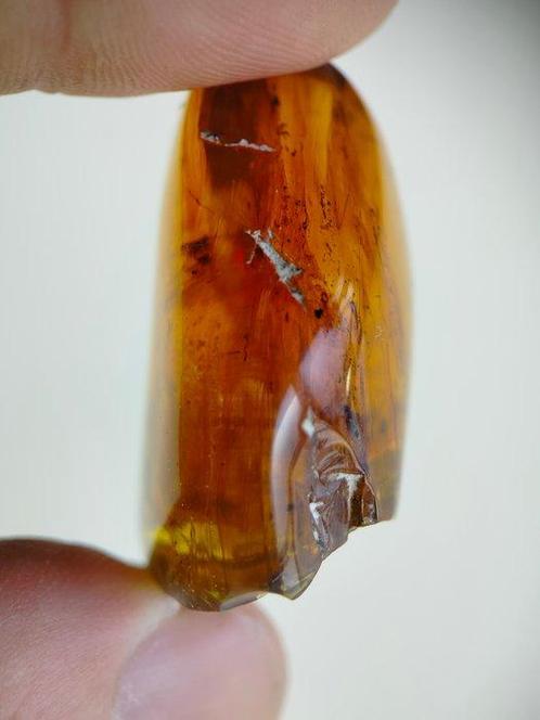 Amber - Barnsteen - XXL freeform amber from Kachin state -, Verzamelen, Mineralen en Fossielen