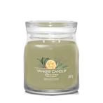 Yankee Candle Geurkaars Medium Jar Sage & Citrus Signature 3, Nieuw, Verzenden