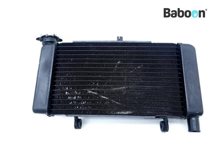 Radiateur Honda CB 500 F 2016-2018 (CB500F), Motoren, Onderdelen | Honda, Gebruikt, Verzenden