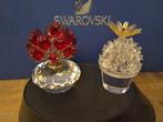 Swarovski - Beeldje - Vase of Roses 283394 + Cactus bloeiend