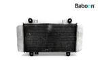 Radiateur Kawasaki NINJA 250R 2008-2012 (EX250J), Verzenden, Gebruikt