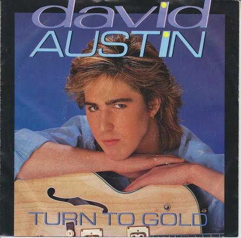 Single - David Austin - Turn To Gold, Cd's en Dvd's, Vinyl | Pop, Verzenden