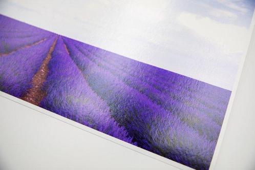 Viet Ha Tran - Song of purple V, Antiek en Kunst, Kunst | Designobjecten