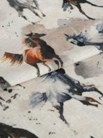 Rit in de wind - Prachtige fluweel in beperkte oplage - Made