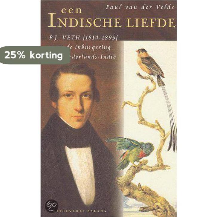 Een Indische liefde 9789050185295 P. van der Velde, Boeken, Geschiedenis | Wereld, Gelezen, Verzenden
