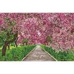 Diamond Dotz Springtime Meander Simply Dotz Diamond Art Kit, Ophalen of Verzenden, Nieuw