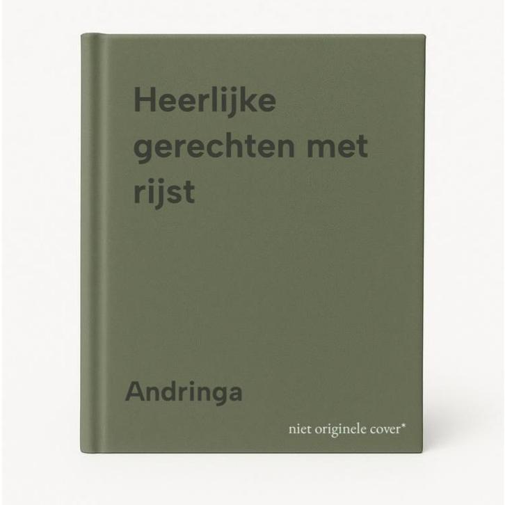 Heerlijke gerechten met rijst 9789062484898 Andringa, Boeken, Kookboeken, Zo goed als nieuw, Verzenden