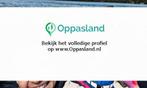 Octavianus zoekt een oppas in Zevenhuizen voor 1 kind op..., Sieraden, Tassen en Uiterlijk, Nieuw