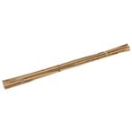 Talen Tools Bamboestokken 60 cm - Ondersteun Uw Planten N..., Tuin en Terras, Ophalen of Verzenden, Nieuw