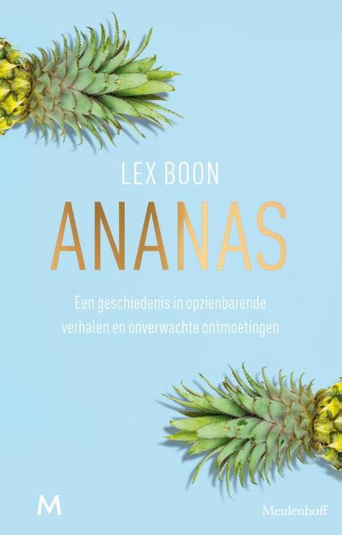 Ananas 9789029092364 Lex Boon, Boeken, Literatuur, Zo goed als nieuw, Verzenden