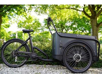 Elektrische bakfiets ROYAL CARGO BIKE twee en driewieler B beschikbaar voor biedingen