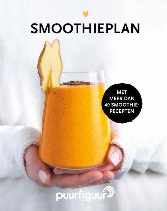 Het Smoothieplan 9789090346953 Ilse de Groot, Boeken, Kinderboeken | Jeugd | 13 jaar en ouder, Gelezen, Verzenden