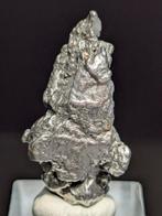Campo del Cielo meteorite Spectaculaire vorm en veel glans.