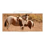 Spaarpot - Paarden Paint Merrie met Veulen Bruin gevlekt NIE, Ophalen of Verzenden, Nieuw