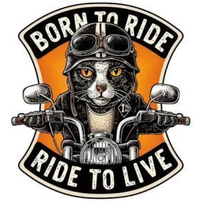 Otto motoronderhoud-reparaties-bandenservice, Motoren, Overige Motoren