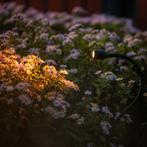 Lightpro Xible, Tuin en Terras, Buitenverlichting, Ophalen of Verzenden, Nieuw