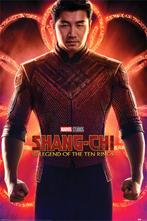 Poster Shang-Chi and the Legend of the Ten Rings Flex, Verzenden, Nieuw, A1 t/m A3