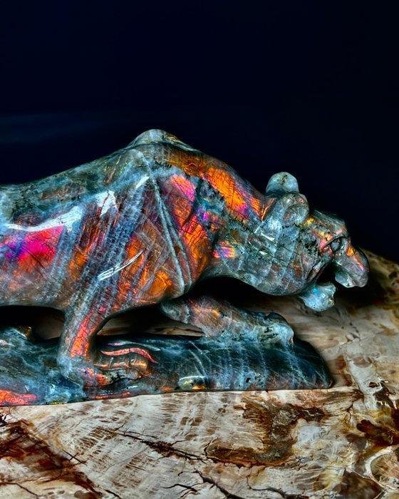 Prachtige luipaard en labradoriet kwaliteit extra - XL, Verzamelen, Mineralen en Fossielen