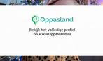 Eefje zoekt een oppas in Sint-Michielsgestel voor 1 kind...