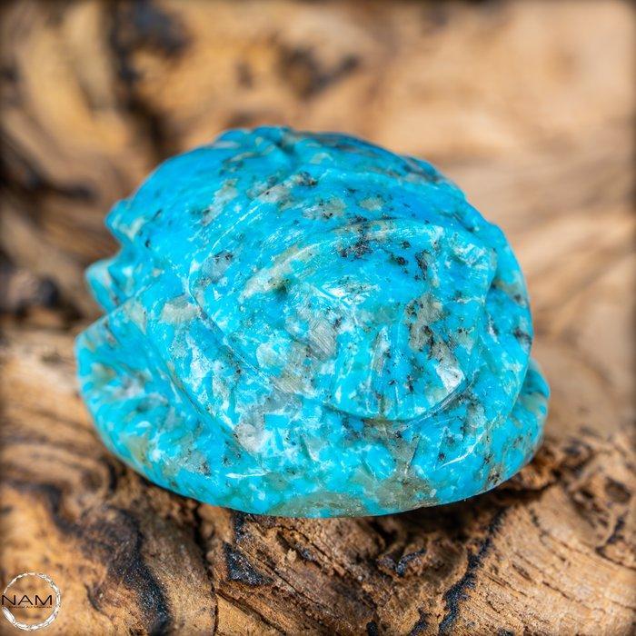 Natuurlijke turquoise scarabee snede Arizona 89,4 ct- 17.88, Antiek en Kunst, Curiosa en Brocante