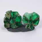 Zeer Zeldzame Trapiche Smaragd - 1.05 ct. Kristallen- 0.21 g, Verzamelen