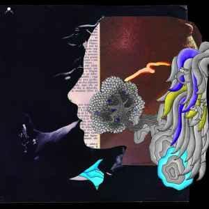 cd - Dirty Sound System - Dirty French Psychedelics, Cd's en Dvd's, Cd's | Overige Cd's, Zo goed als nieuw, Verzenden