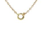 Gouden vintage anker collier met bloedkoraal 14 krt, Ophalen of Verzenden, Nieuw