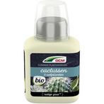 Cactus en vetplanten voeding | DCM | 250 ml, Verzenden, Nieuw