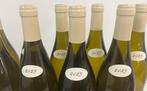 2023 Domaine Ellevin. Vaucoupin - Chablis 1er Cru - 9, Verzamelen, Nieuw