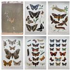 A. W. Kappel; W. Egmont Kirby - British & European, Antiek en Kunst