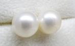 Zonder Minimumprijs - Oorstekers - 14 karaat Witgoud Parel -