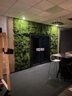Hoge kwaliteit kunst mos wand per m2, Nieuw in verpakking