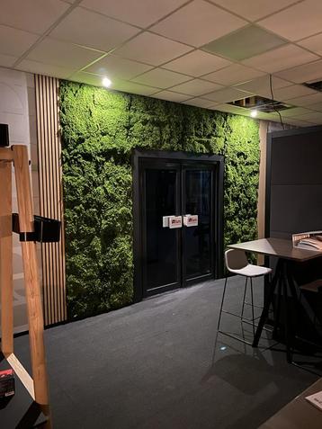 Hoge kwaliteit kunst mos wand per m2 beschikbaar voor biedingen