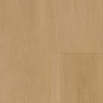 Bodiax BP590 Royal PVC 593 Regency PVC, Ophalen of Verzenden, Nieuw, Overige kleuren, Overige typen