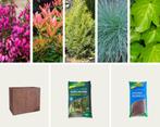 Gevulde plantenbak - Ivara plantenbak donker hout (L)50 x (B, Tuin en Terras, Planten | Tuinplanten, Ophalen of Verzenden