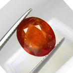 1 pcs Oranje, Rood Kyaniet - 5.41 ct - nternational Colored, Nieuw