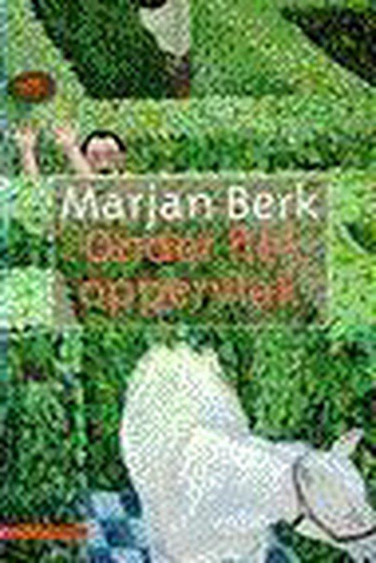 Onder het oppervlak 9789025422455 Marjan Berk, Boeken, Romans, Gelezen, Verzenden
