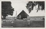 EDE - Schaapskooi de Ginkel, Verzenden, Gelopen