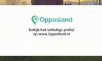 Ik ben Petra, 53 jaar oud en ik zoek oppaswerk in Rotterdam.