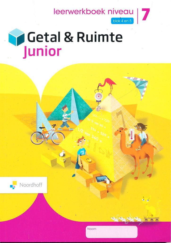 Getal en Ruimte Junior Leerwerkboek NIVEAU blok 4 en 5 groep, Boeken, Schoolboeken, Nieuw, Verzenden