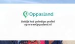 Marjon zoekt een oppas in Groningen voor 3 kinderen., Nieuw