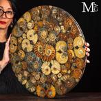 Een fantastische top tafel in natuurlijke fossiele