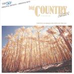 Various - Big Country Classics Volume Six, Ophalen of Verzenden, Gebruikt