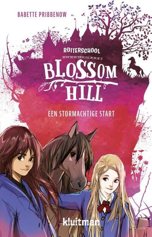 Een stormachtige start / Ruiterschool Blossom Hill., Boeken, Kinderboeken | Jeugd | onder 10 jaar, Zo goed als nieuw, Verzenden